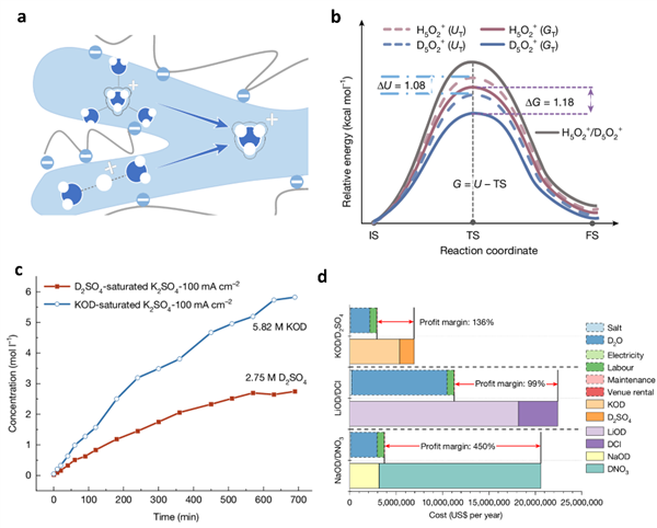 双极膜内氘离子迁移示意图与制备氘代酸碱性能