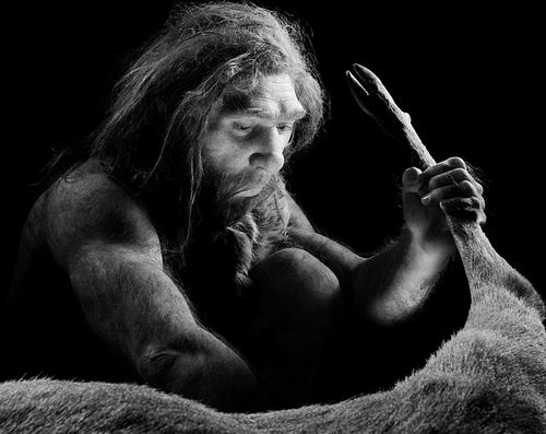 图片来源：S. Plailly/E. Daynes