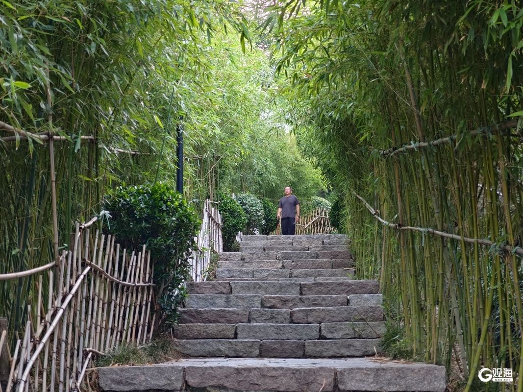 青岛竹子庵：夏日登山纳凉“竹”意正浓|青岛市_新浪财经_新浪网