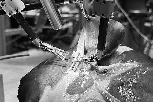 图片来源：Juo-Tung Chen