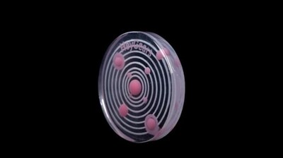 多材料一体打印成品