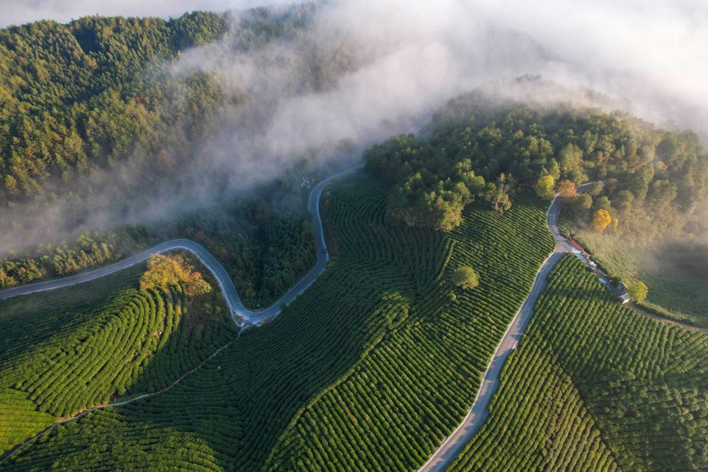 　　2024年11月8日拍摄的位于安徽省宣城市旌德县三溪镇的农村公路（无人机照片）。新华社记者 曹力 摄