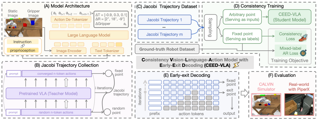 图 2：CEED-VLA 模型架构示意图
