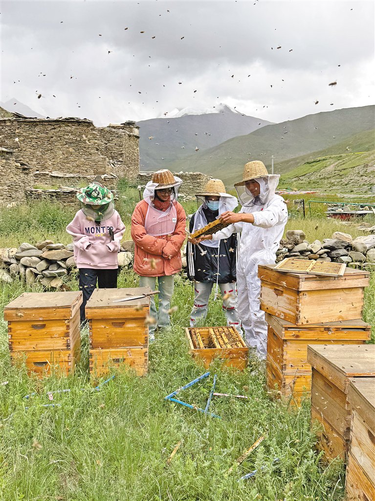 瓦蜜蜂养殖专业合作社养殖基地里,专业人员正在向年轻人传授养蜂技术