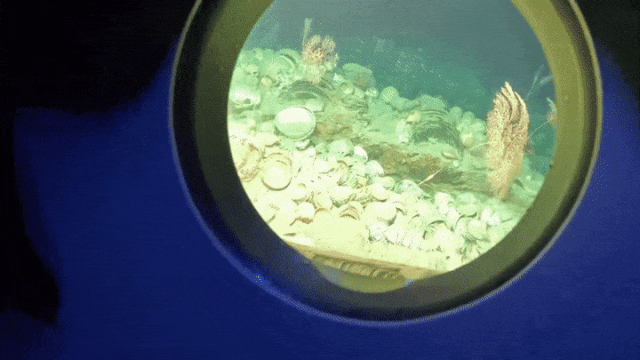 南海西北陆坡一二号沉船考古调查资料画面。图源于新华社