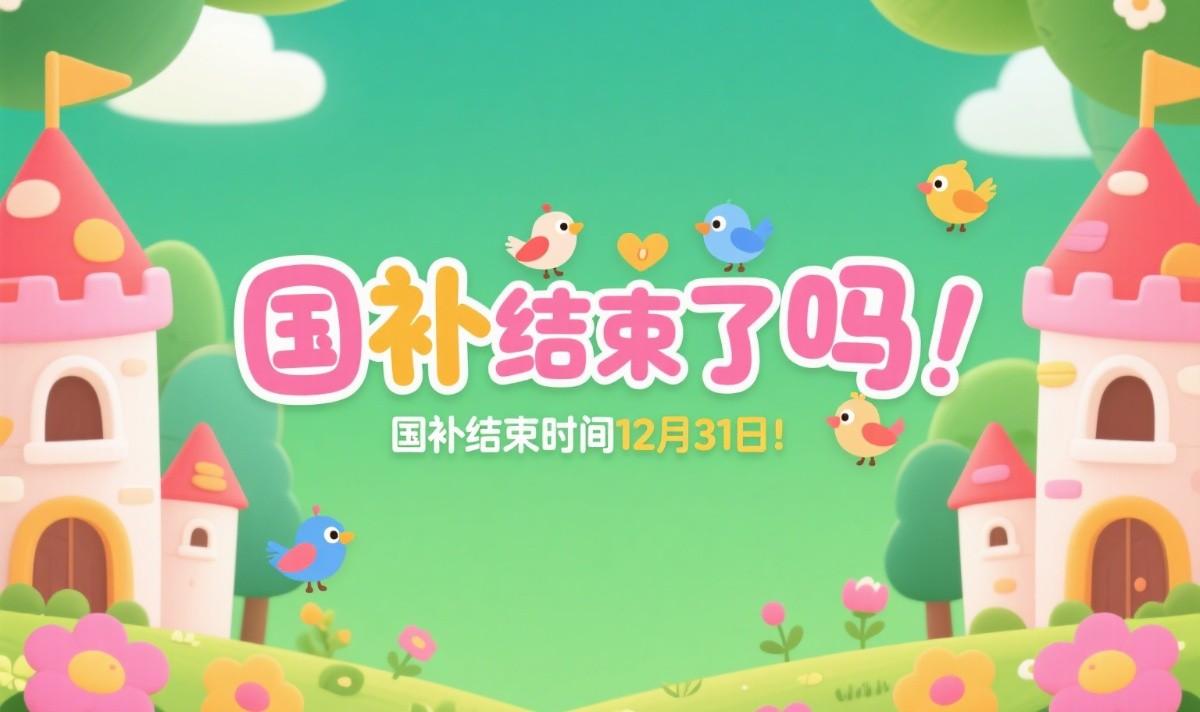 2025年国家补贴政策的最后官方响应信息：国家补
