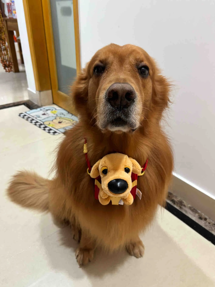 图源小红书网友@momo