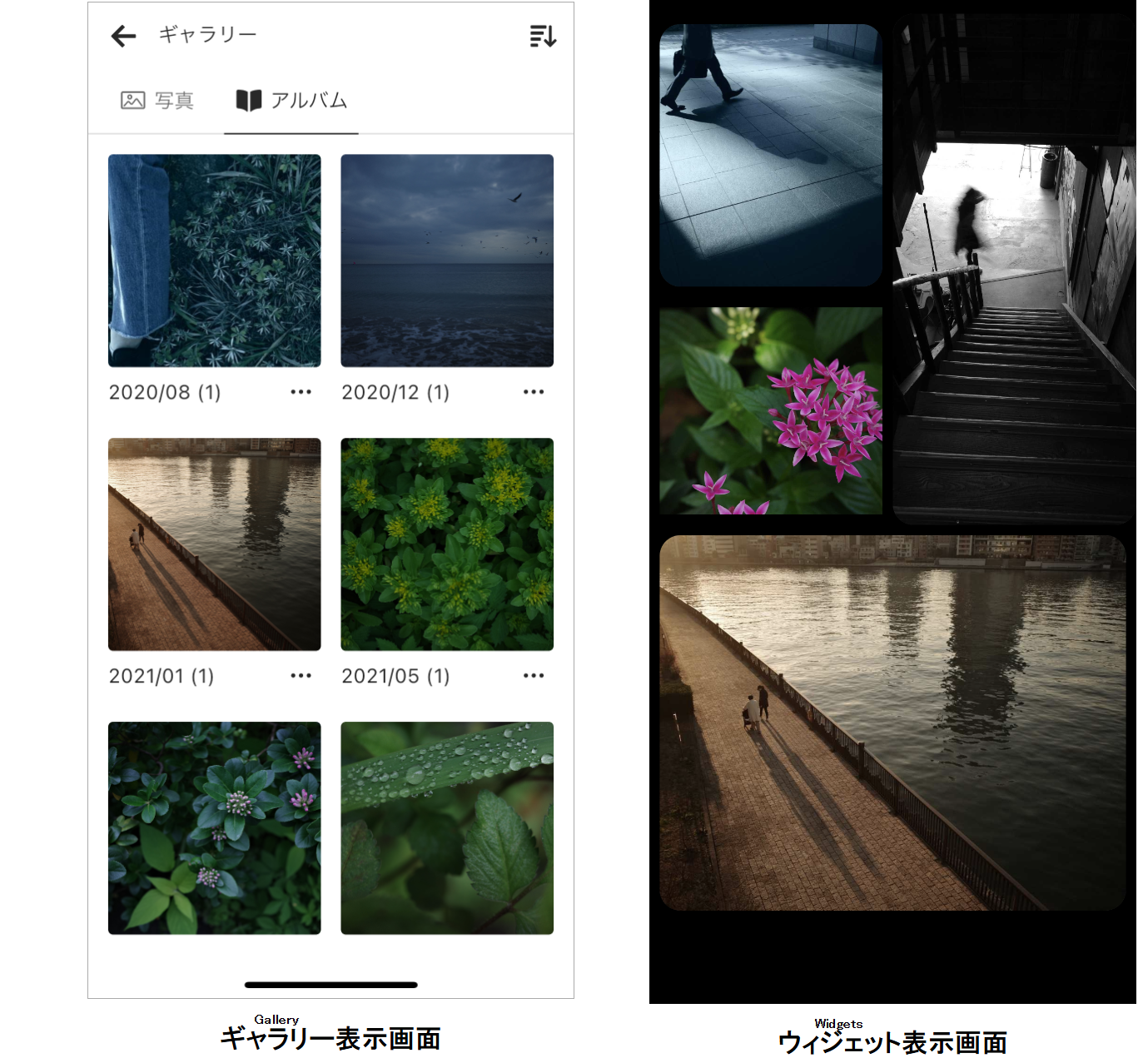 ▲ 相册、</p></li></ul><p cms-style=