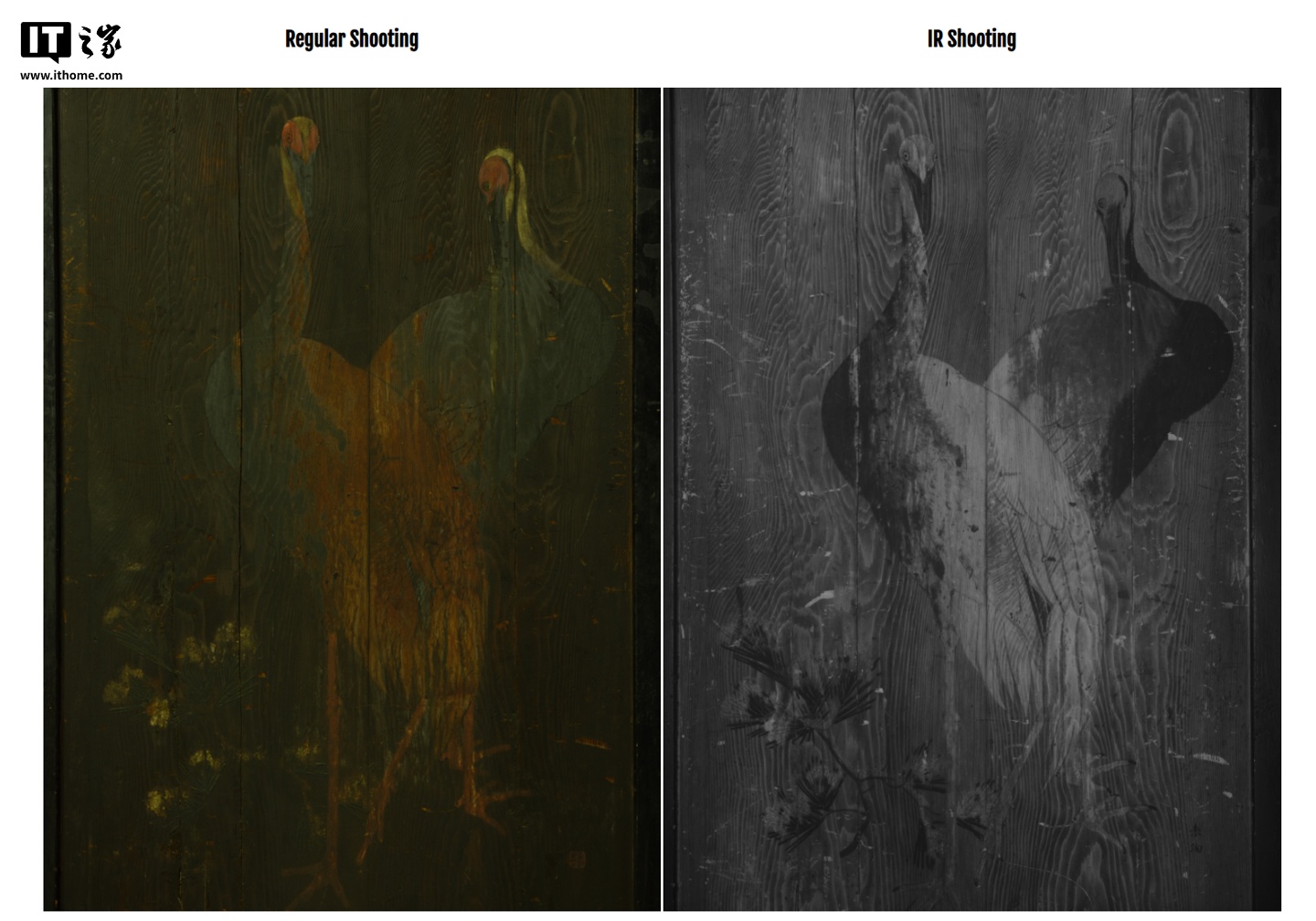 ▲ 红外摄影示例图，<strong></strong>分析历史文物的颜料、从而满足法医学、并直接通过富士购买，科学研究和文化遗产保护等领域对特殊影像捕捉的需求，X-H2 IR 和 GFX100II IR 均支持自动对焦功能，下同