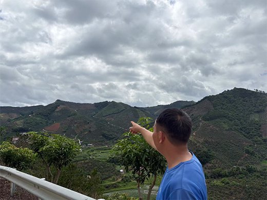 陆克利的芒果园