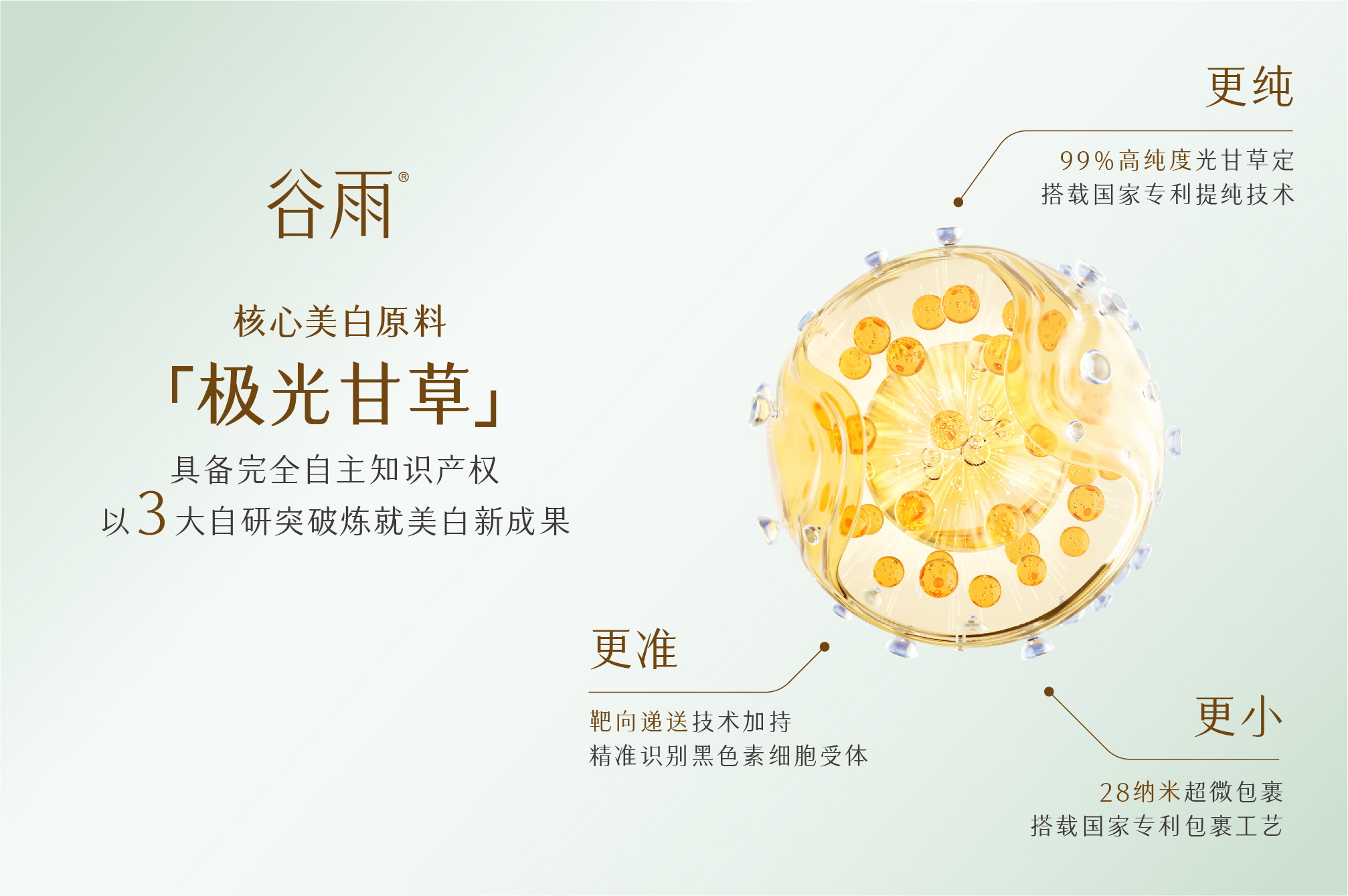 图片来源：企业提供