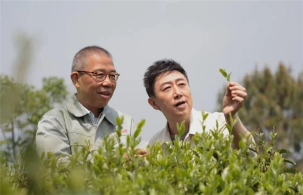 瓦哈哈的继承战争导致了钟尚的声誉，建立了腿