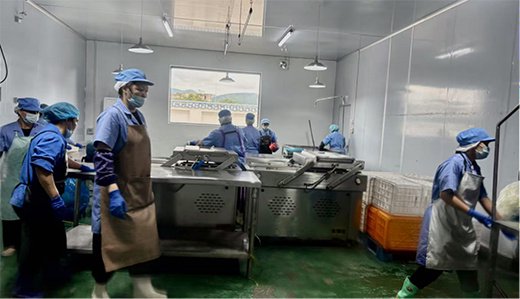 善果食品的芒果加工车间一角