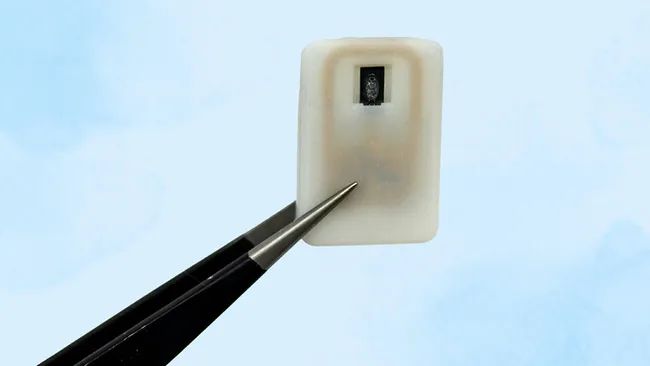 糖尿病患者新希望：新型 3D 打印植入芯片问世，调控释放升糖素