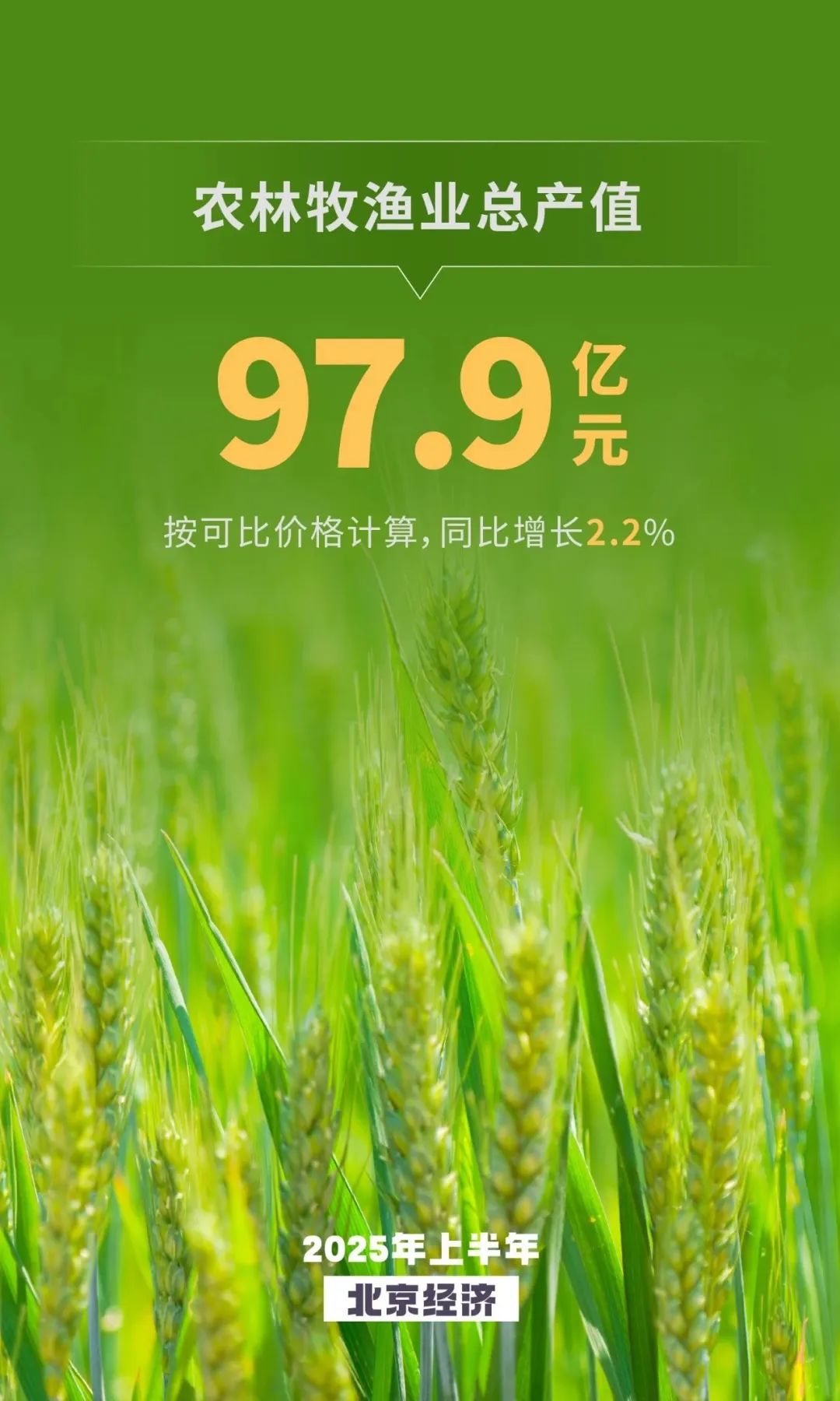 来源：“首都之窗”微信公众号