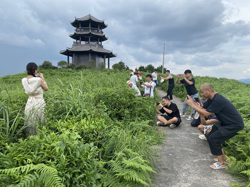 短视频拍摄实操现场