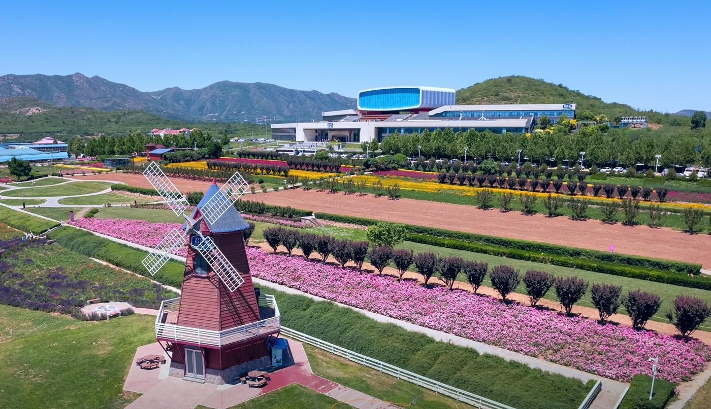 农业部将唯一的乳制品朱尔巴奥（Junlebao）选择为