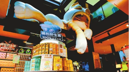 在位于昆明市南强街的德和品牌旗舰店内，萌态十足的瓦猫格外引人注目。 记者 王毅 摄