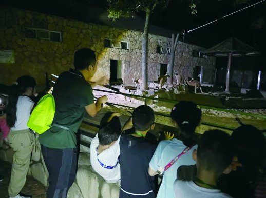     7月至8月，长沙生态动物园开放夜游。   园区供图