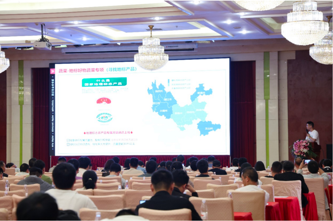 ▲“多多好特产”蔬菜专项负责人正分析云南地标农产品市场。杨艳辉|摄