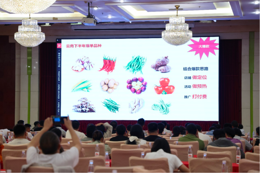 ▲“多多好特产”生鲜专项负责人向商家讲解云南下半年潜力农产品。杨艳辉|摄