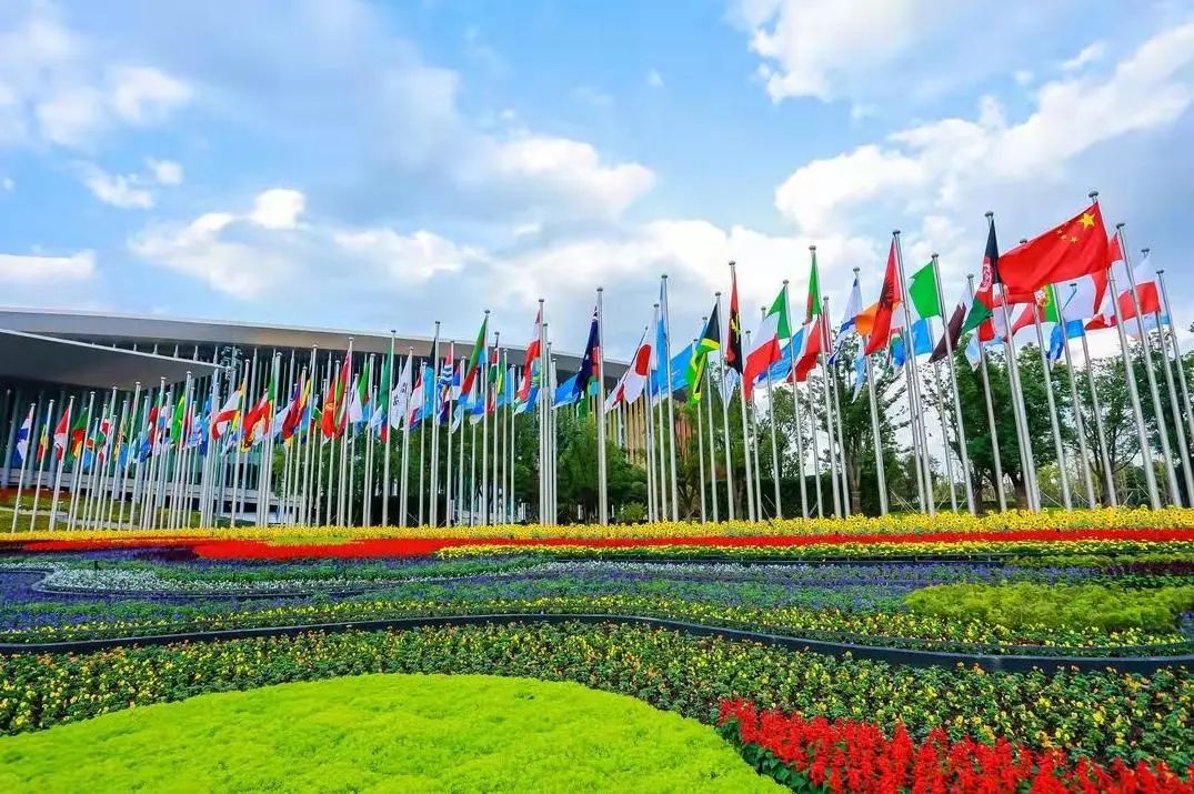 图片来源：澎湃新闻