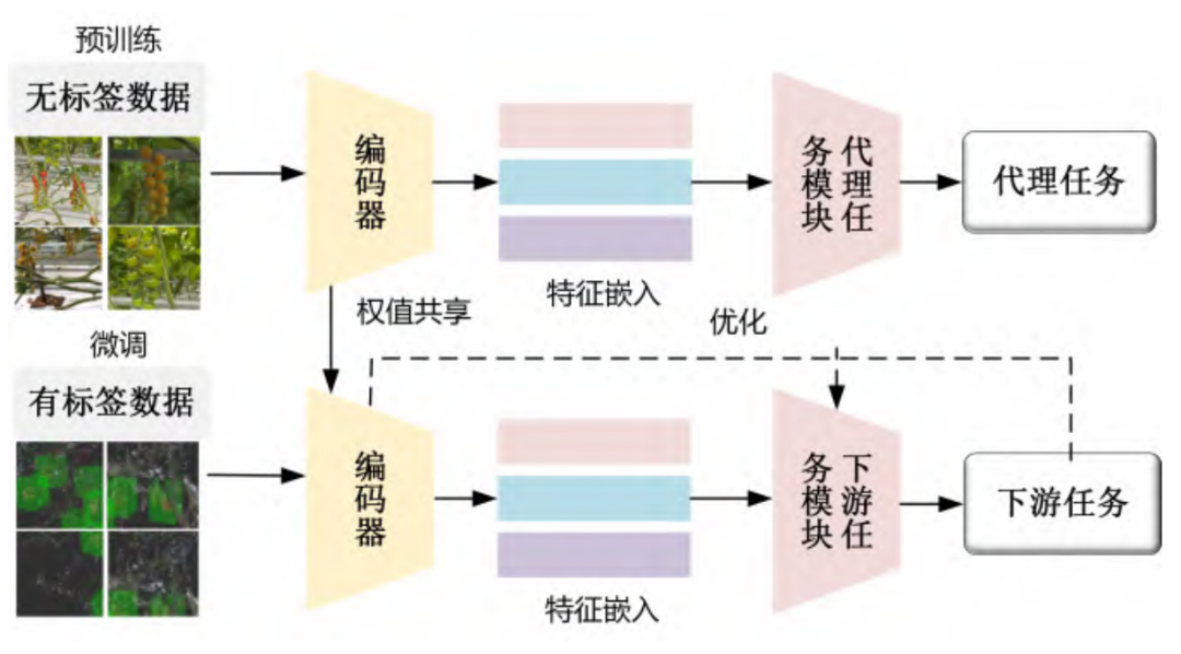 图 16 自监督学习原理图
