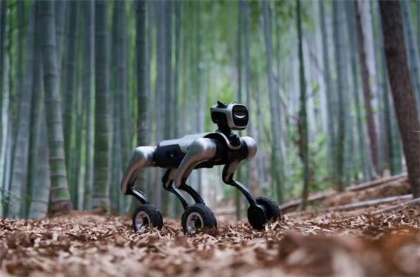 魔法原子发布MagicDog-W轮式四足机器人：可主动识别用户情绪