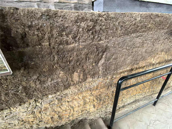 在辽宁朝阳市出土的白垩纪早期冻土痕迹，表明那个时期的辽宁一带相当寒冷。图源：作者本人拍摄