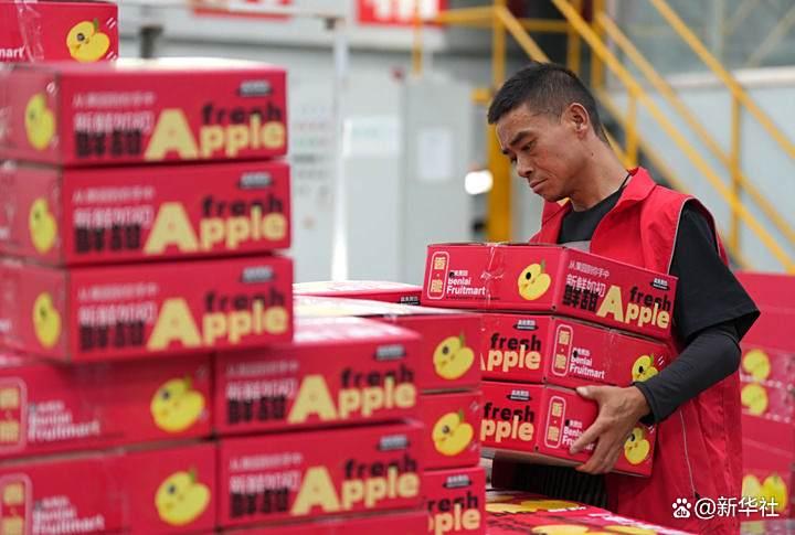 6月10日，工人在陕西省渭南市白水县盛隆果业的车间码放装箱的苹果。新华社记者 李一博 摄