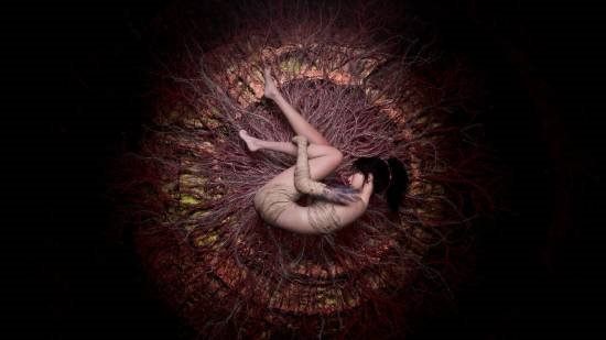 责任编辑：建嘉