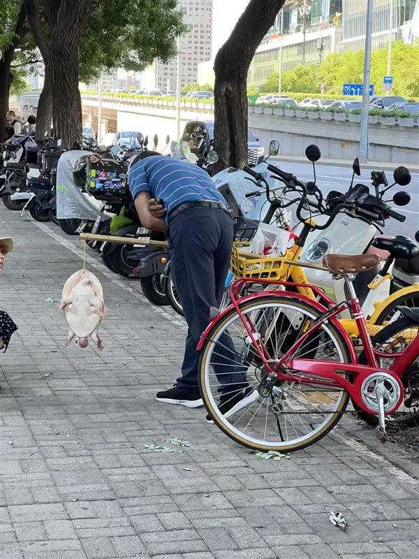 多地街头贩卖“野生鳖”：不要吃、更不能买来放生！