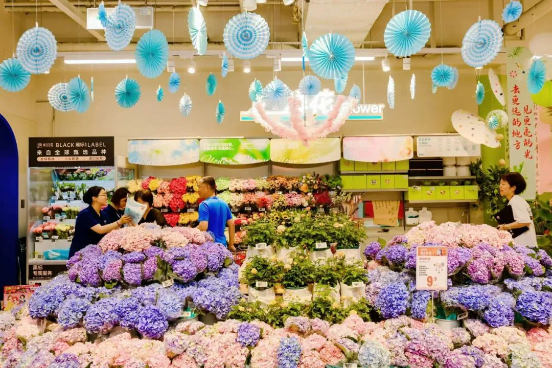 让消费者“像买菜一样买花”，盒马的鲜花“悦己”赢在何处？