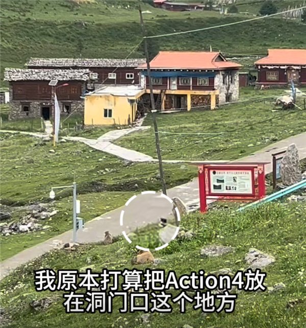 大疆Action 4被土拨鼠偷走 客服小姐姐都被逗笑了