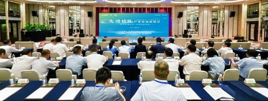 我国首台第四代百万千瓦商用快堆 CFR1000 完成初步设计