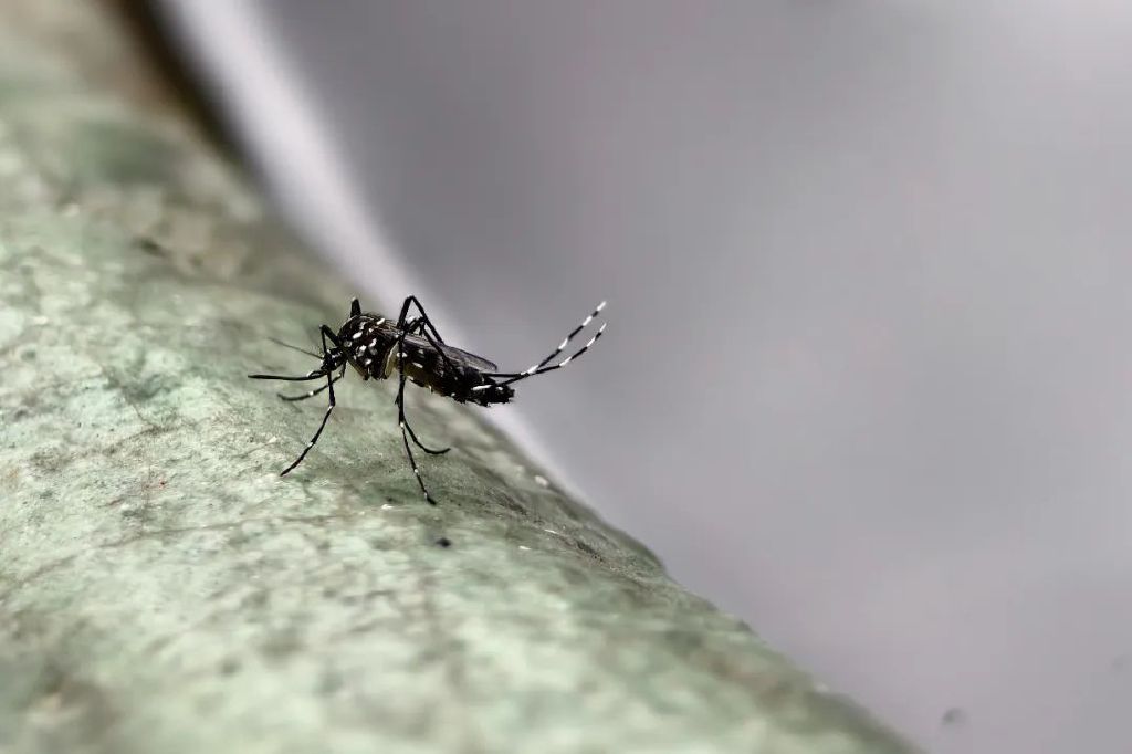 图片来源：视觉中国