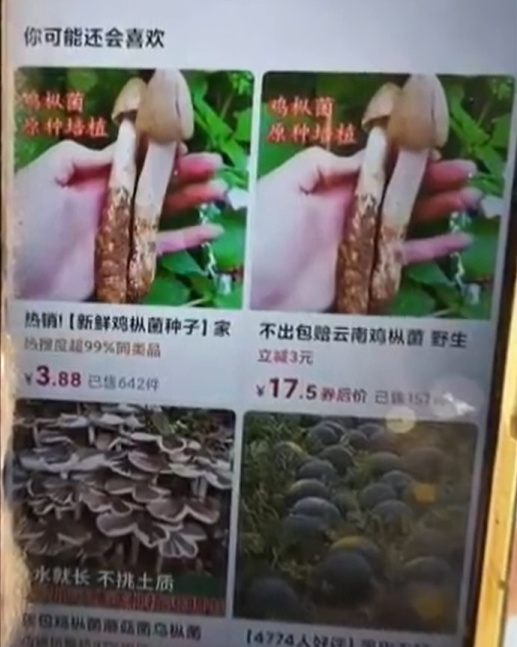 您可以在线购买“鸡肉蘑菇类型”，但是有毒的