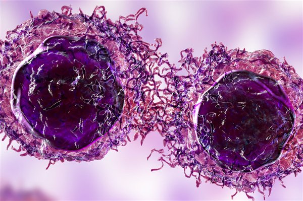 女子称1年半内家里4人确诊癌症：都有癌症病史
