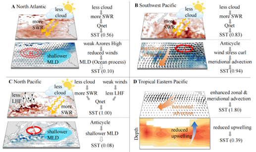 我国科学家首次揭示全球极端海洋热浪驱动机制
