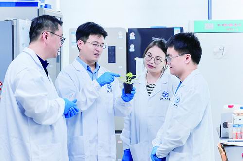 “分子考古学”解决了水杨酸合成的奥秘