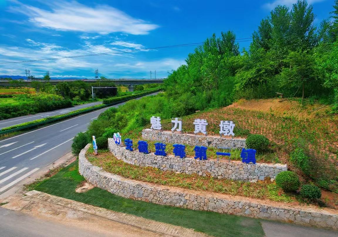 怀宁县黄墩镇:全域土地综合整治 "绘"出乡村振兴新图景