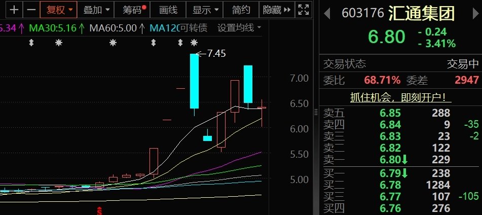 在Huitong Group的股票价格高昂的价格背后：它利用