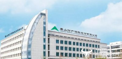 Taishan Insurance分支1受到