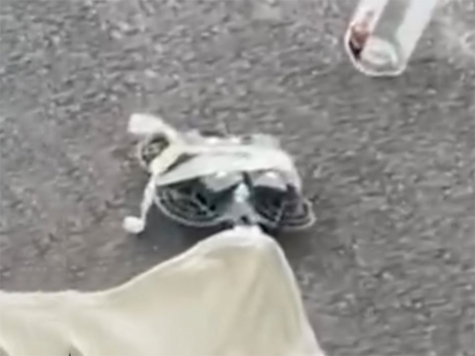 大疆Neo 2通过FCC认证