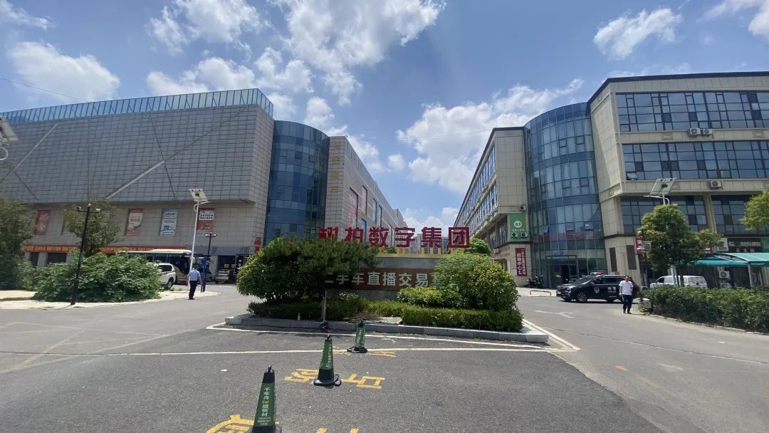 "树拍易购"陷暴雷风波：