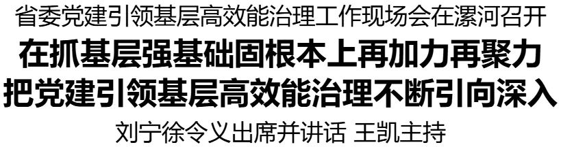 省委党建引领基层高效能治理工作现场会在漯河召开 刘宁徐令义出席并讲话 王凯主持|刘宁_新浪财经_新浪网