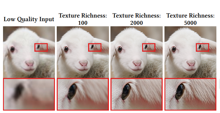 ▲ HYPIR 大模型处理图片纹理细节的效果展示