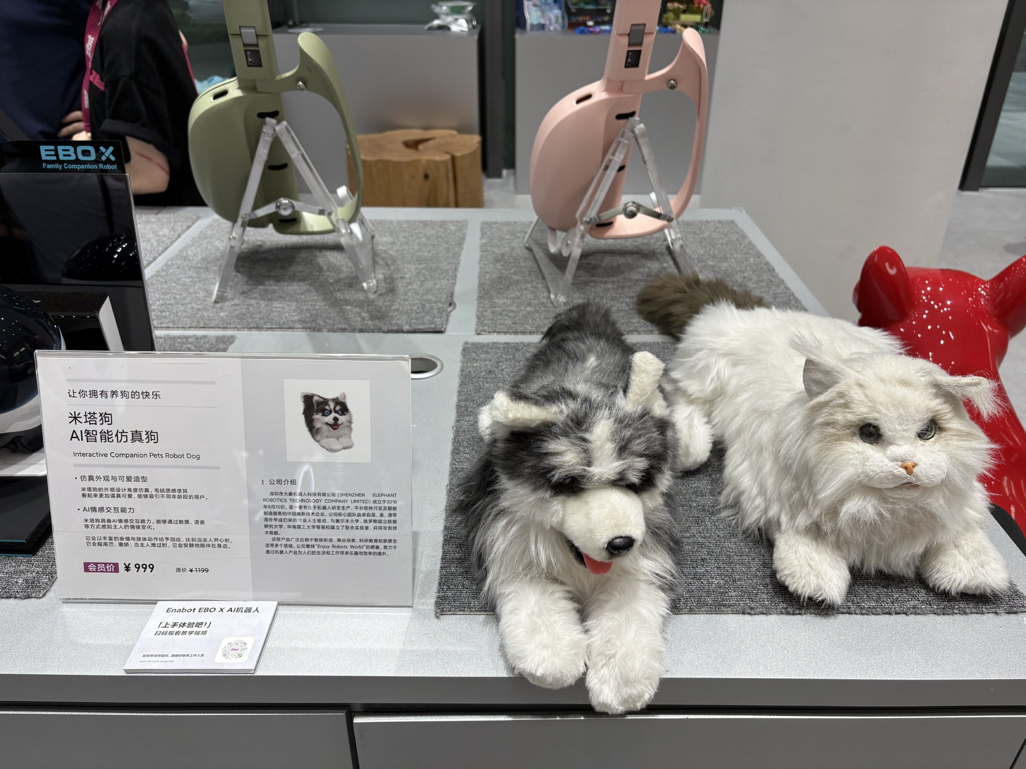 AI小猫和小狗｜图片来源：极客公园