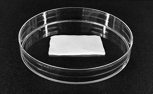 发展出良好的止血和药物生物敷料