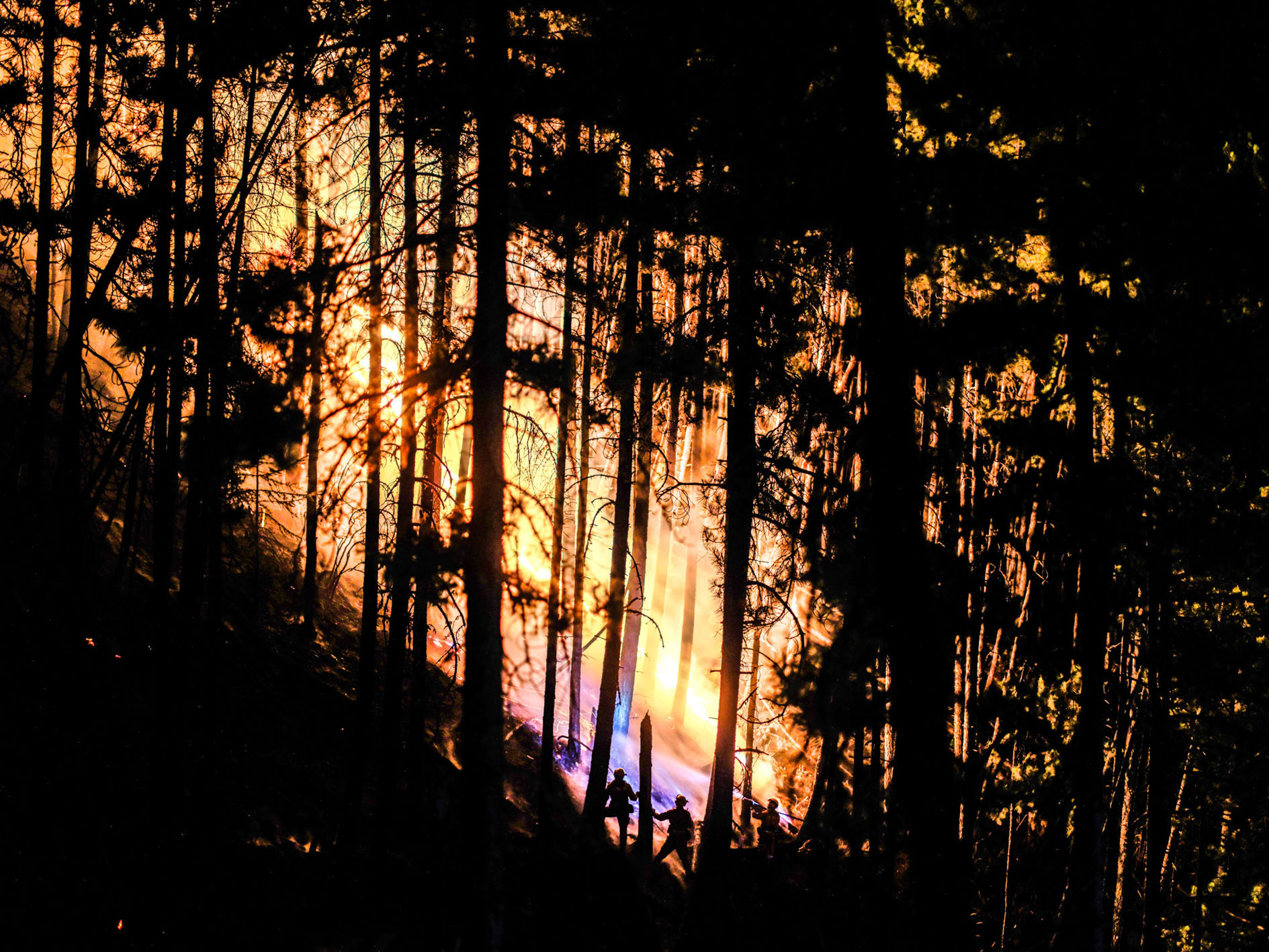 消防员在火场扑救山火。资料照片